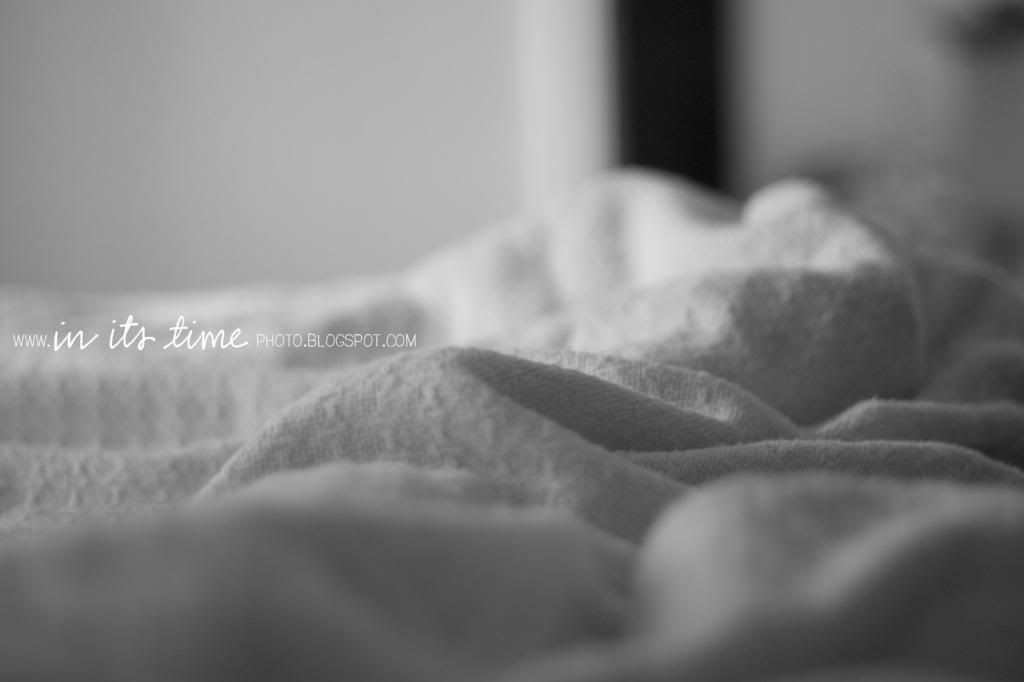  photo blankets.jpg