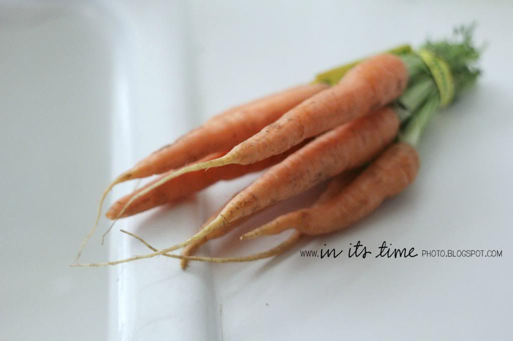  photo carrots-1.jpg