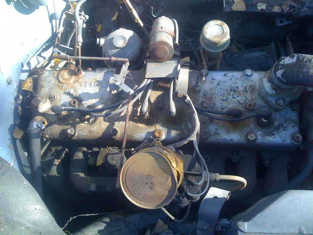 Pickled Motor.? The H.A.M.B.