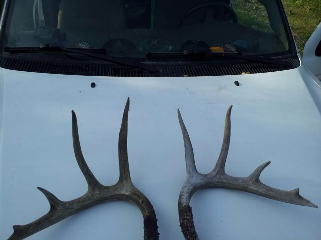 POLK COUNTY lease needing member Arkansas Hunting