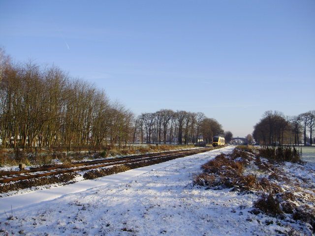 Afbeelding