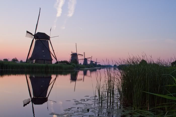 Fotografie
