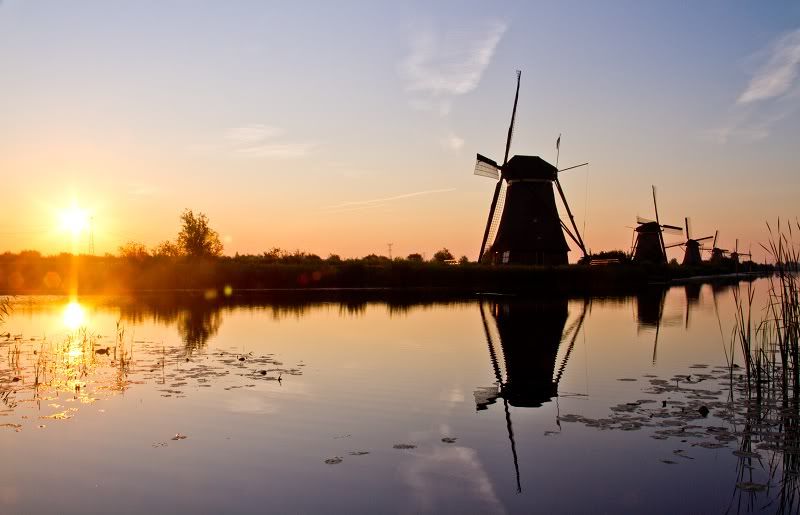 Fotografie