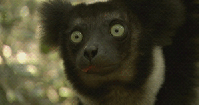 1182_tc_zpsfe9a7123.gif