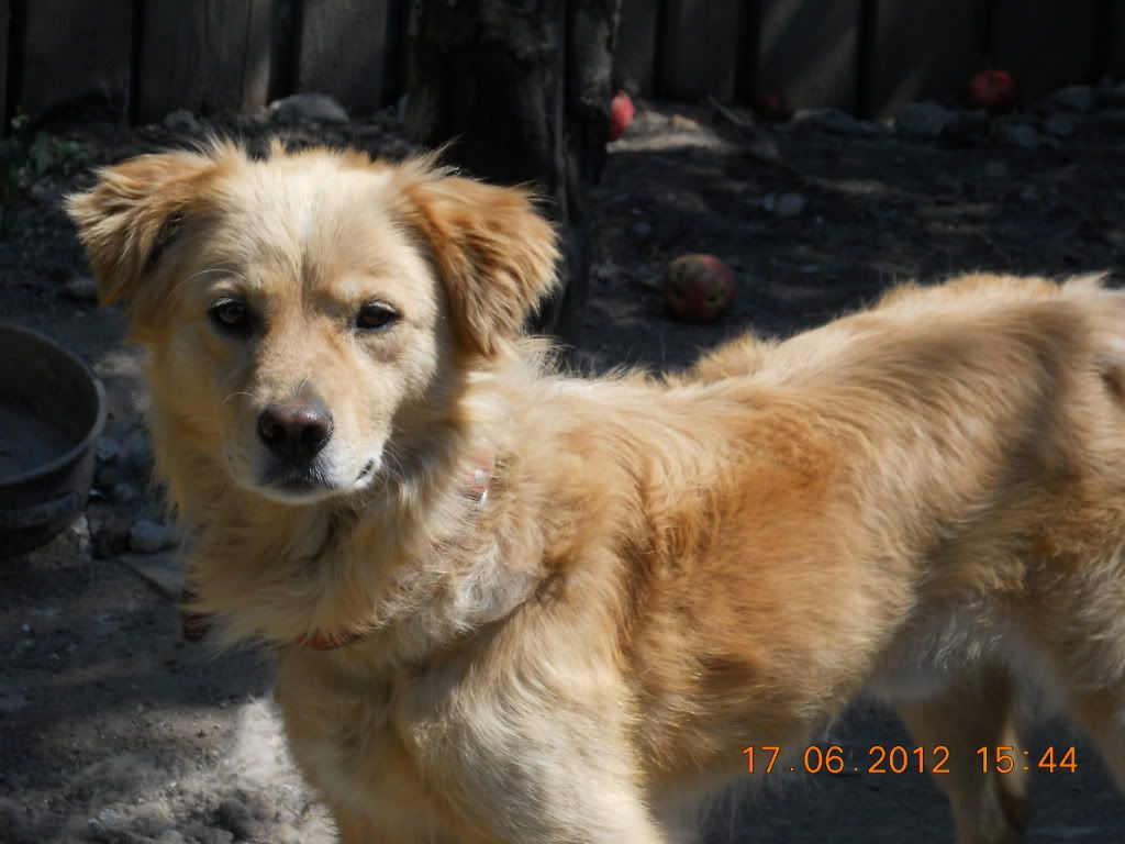 http://i1158.photobucket.com/albums/p618/gaby9641/DSCN1949.jpg