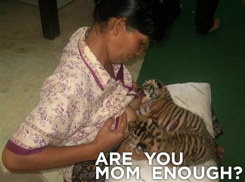 Forum Image: http://i1158.photobucket.com/albums/p619/Hinawi/tumblr_m3vfc5R4BL1qe9uoko1_500.jpg