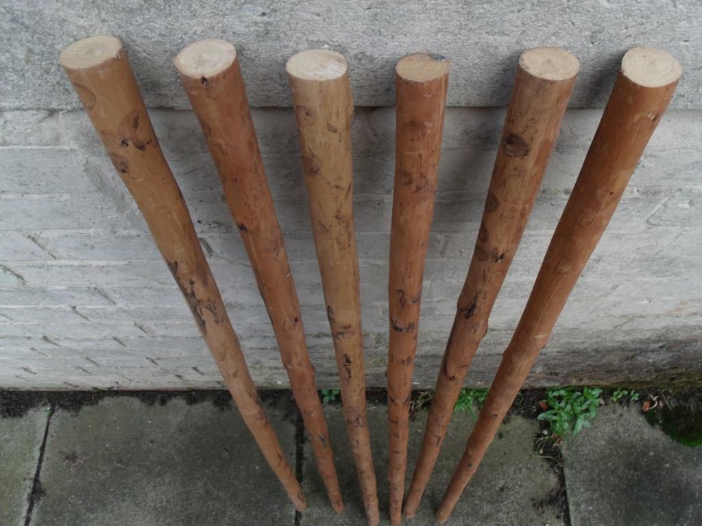 3 Chestnut Shafts Shanks Seasoned Straightened Stickmaking Walking