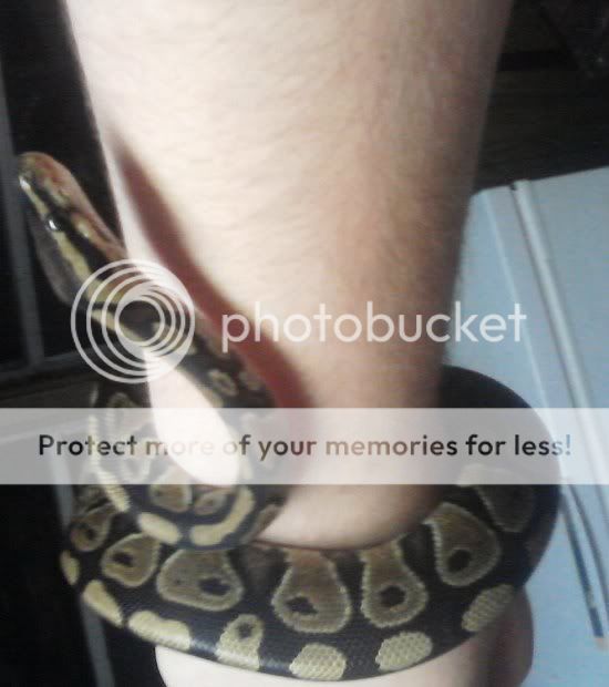 Photobucket