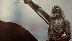 6.gif