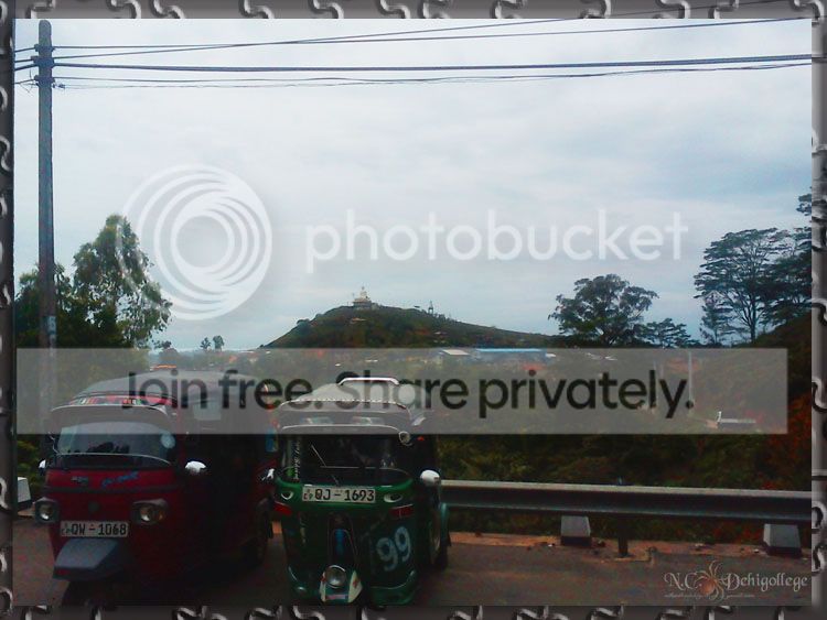 DSC00707_zps3dd27e8d.jpg