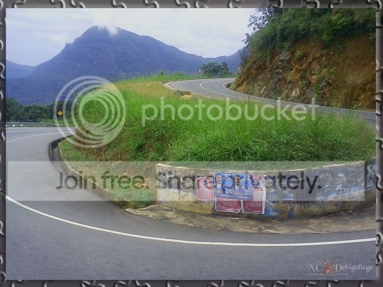 DSC00806_zpse44bd5c1.jpg