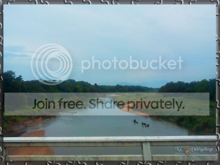DSC00849_zpsdcf3ba9b.jpg